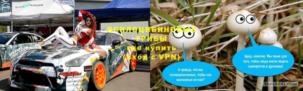 соль курить ск Ладушкин